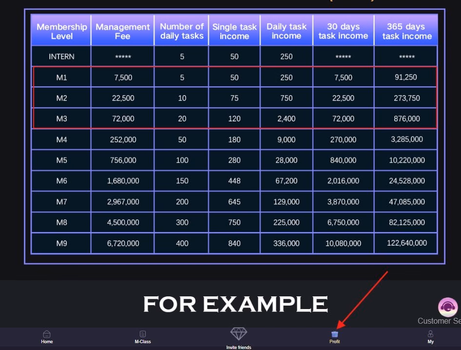 Max App Media membership and income table