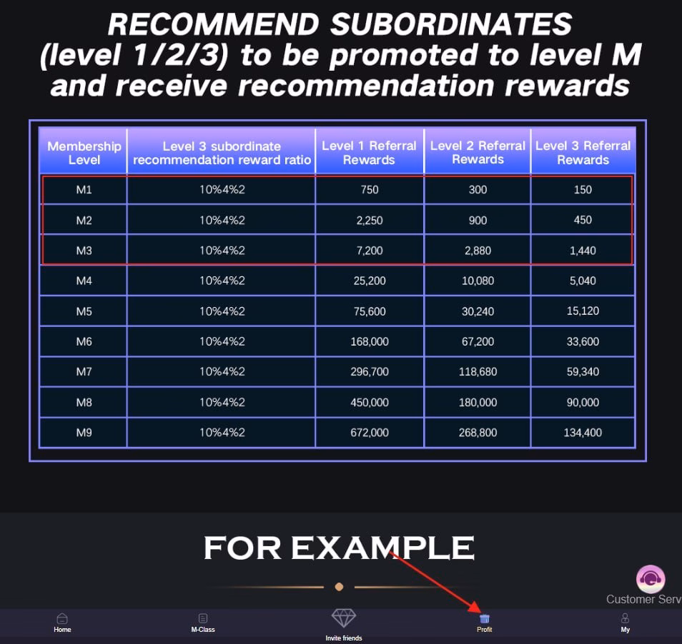 Max App Media referral reward structure